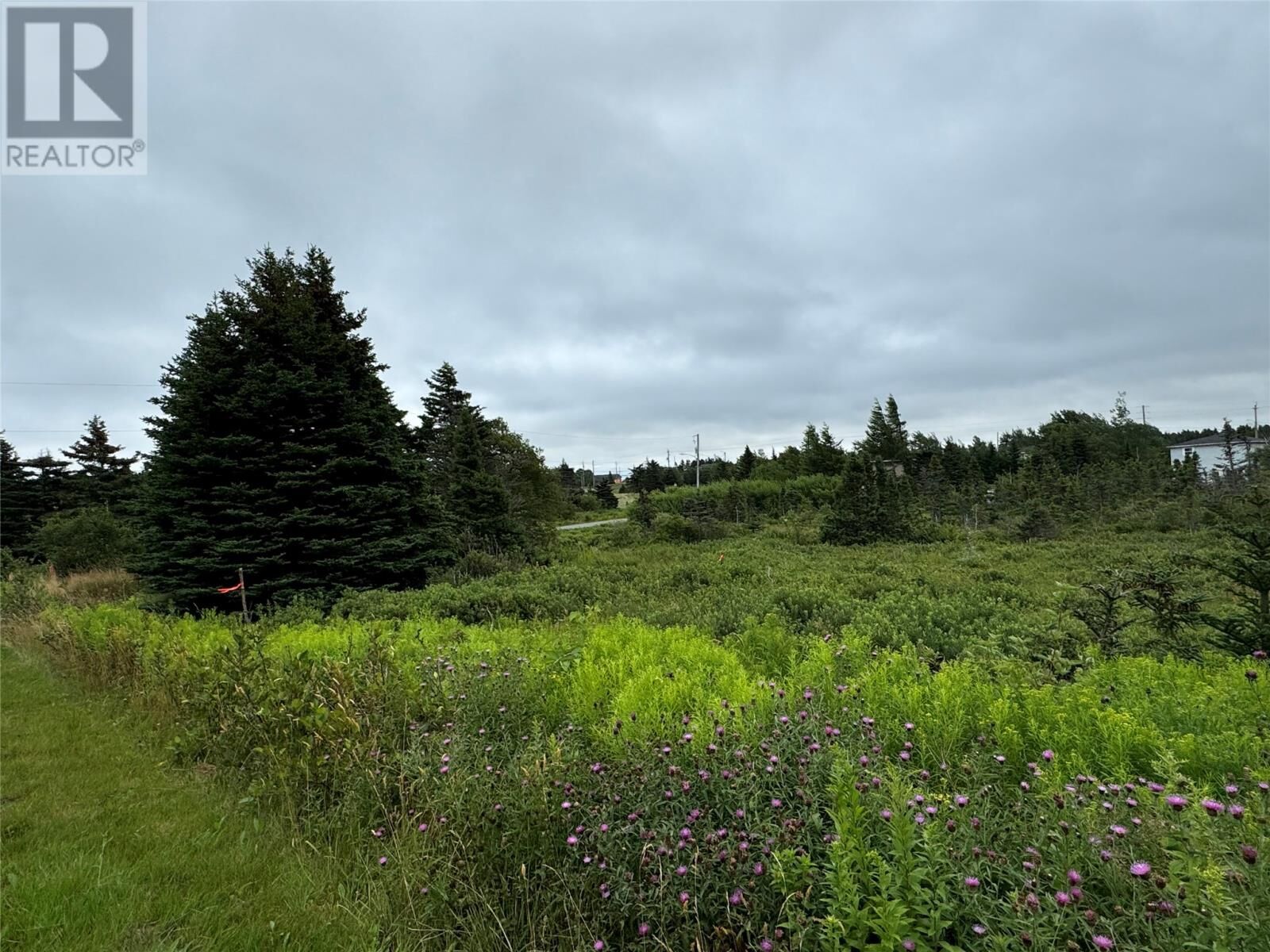 Property Photo:  17A Crowes Lane  NL A1K 1H5 