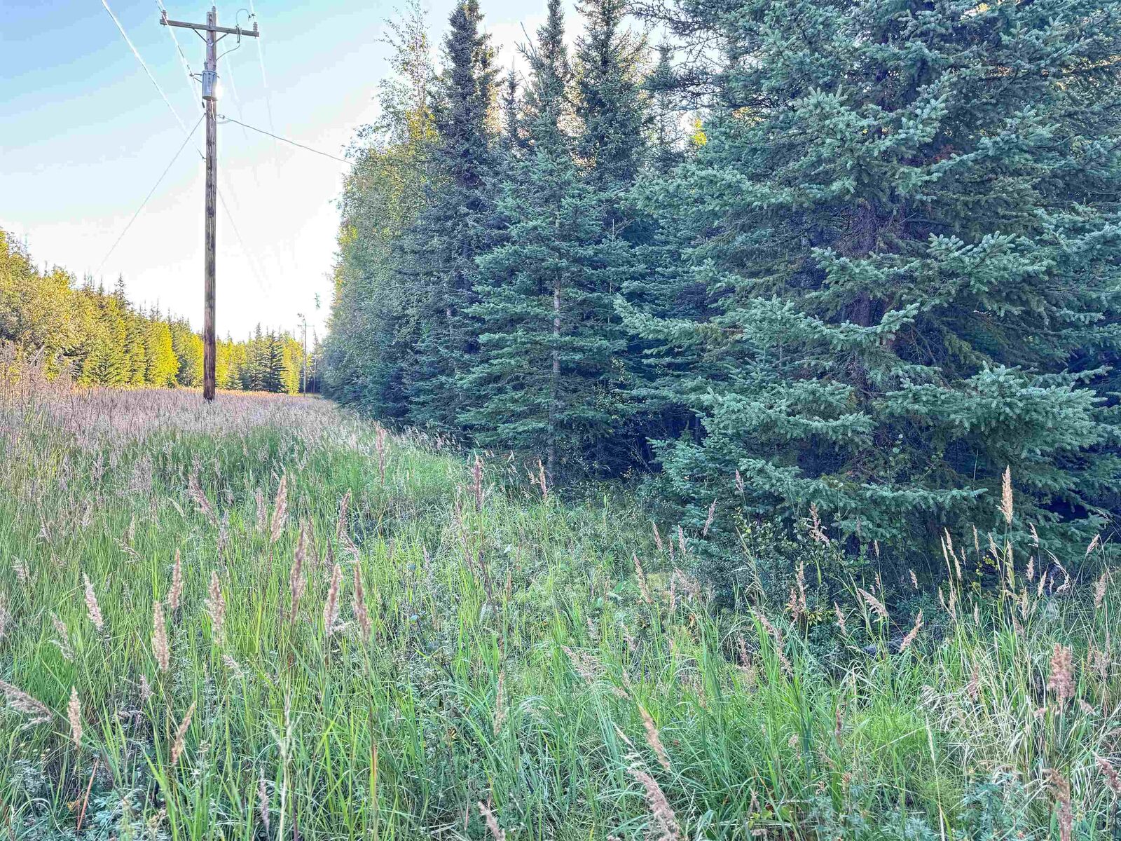 Property Photo:  3567 Nistler Road 3567 Kusz Way/ Emmaus Road  AK 99737 