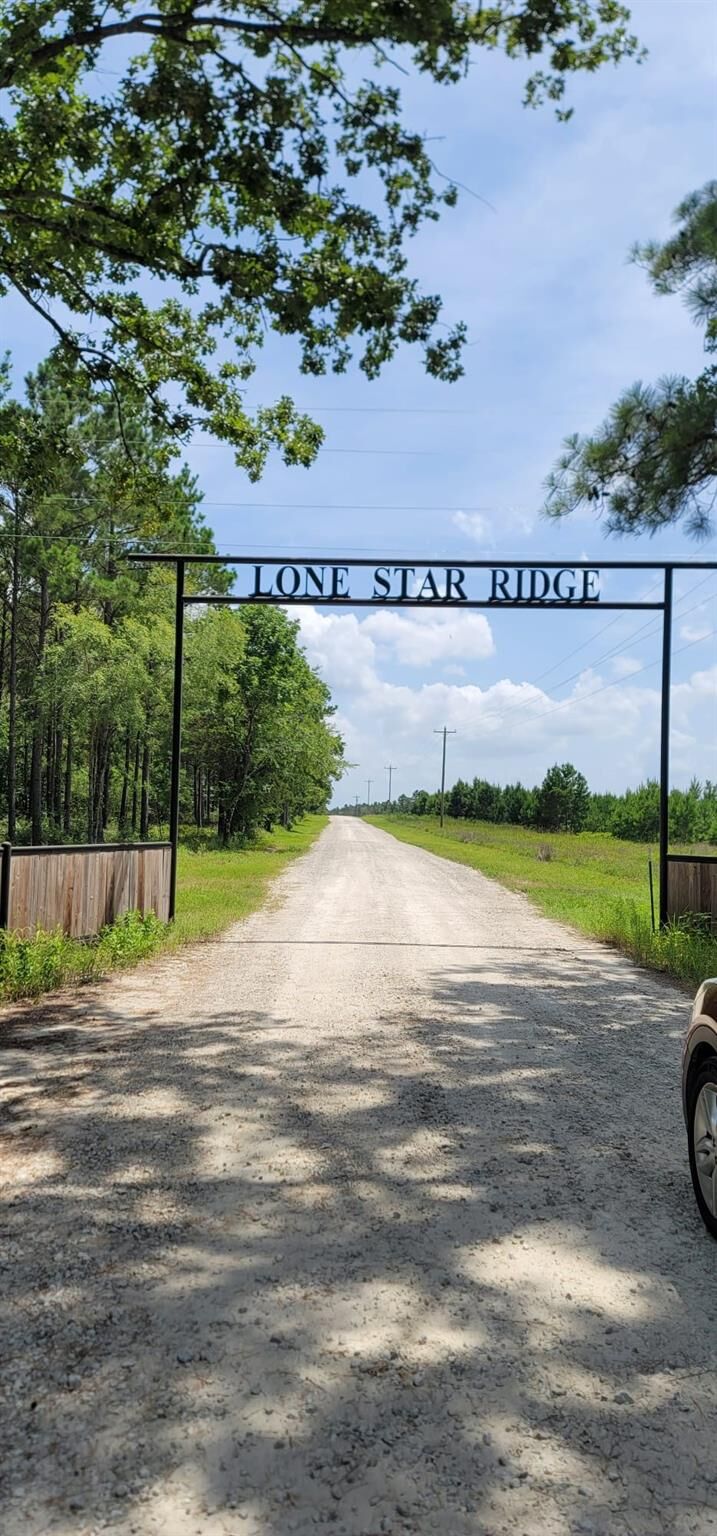 Property Photo: 315 Polk TX 75851