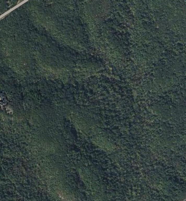 Property Photo: N State 7 Highway MO 65020