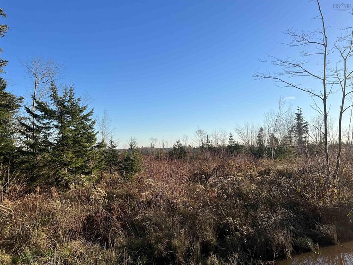 Property Photo: Lot Small Gains Road NS B0W 1B0