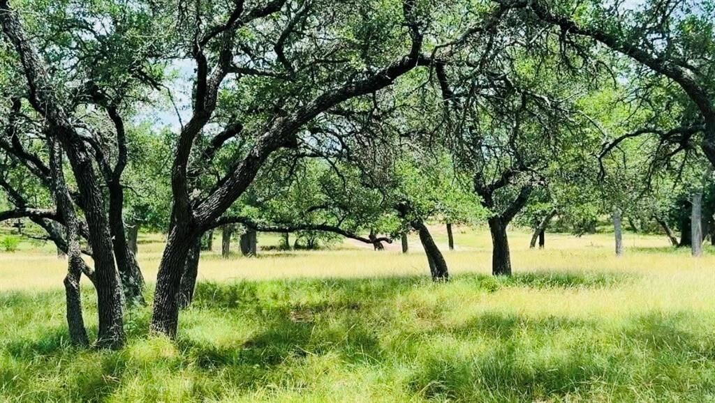 Property Photo:  Lot 26 Swiss Ranch Rd  TX 78663 