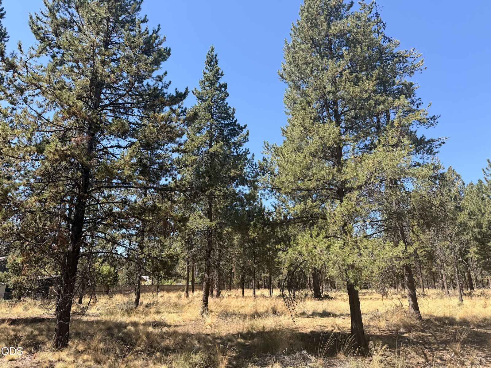 Property Photo:  56031 Savage Road  OR 97707 