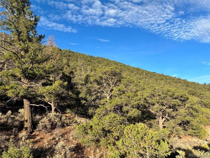 Property Photo: 8.5 Ac Adelaide Road CO 81152