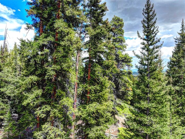 Property Photo: 0 Dry Gulch Road CO 80440