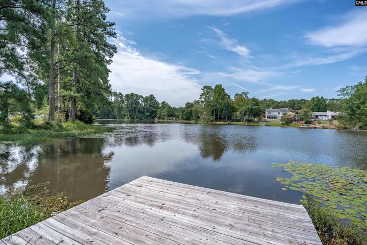 Property Photo: 213 Maple Tree SC 29073