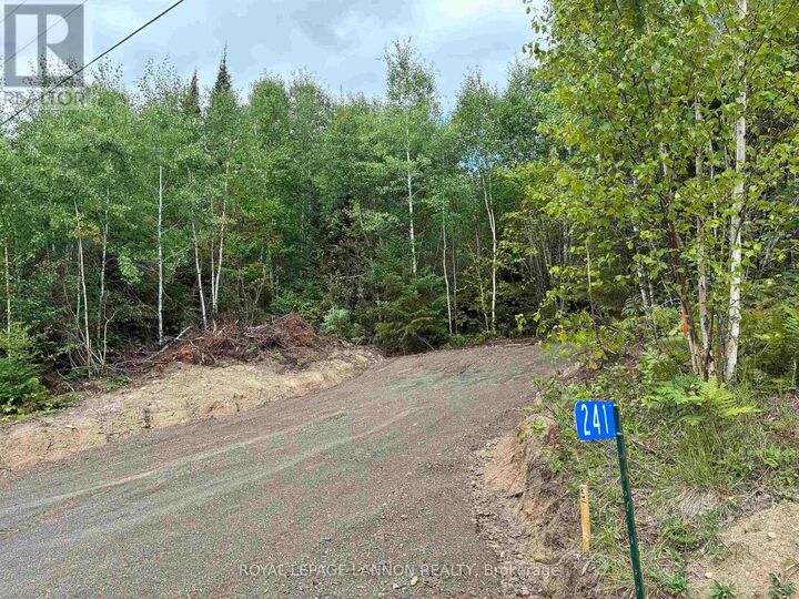 241 Cloud Lake Road — photo 1