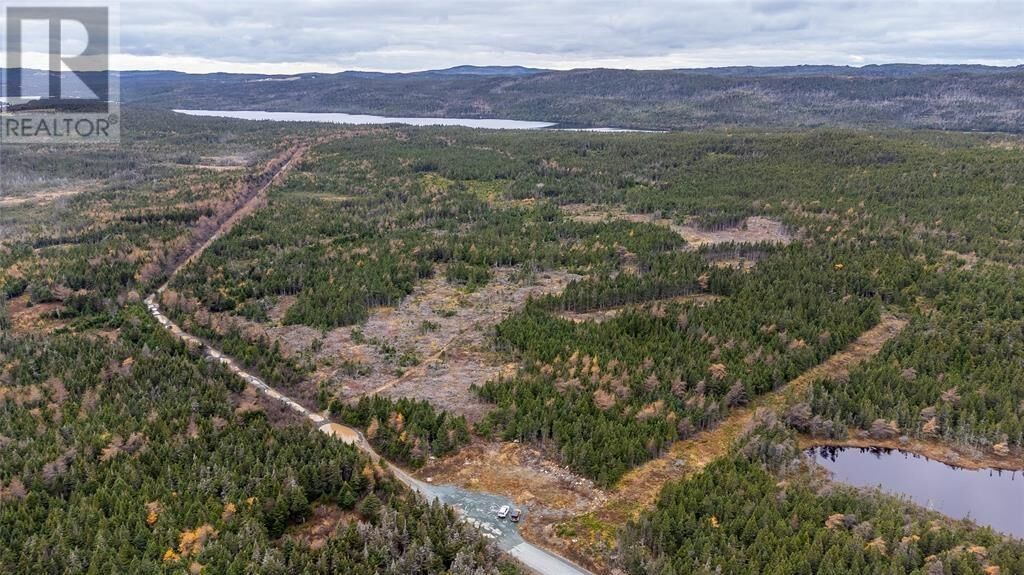 Property Photo: 0 Medalsis Pond Road NL A1K 1C9