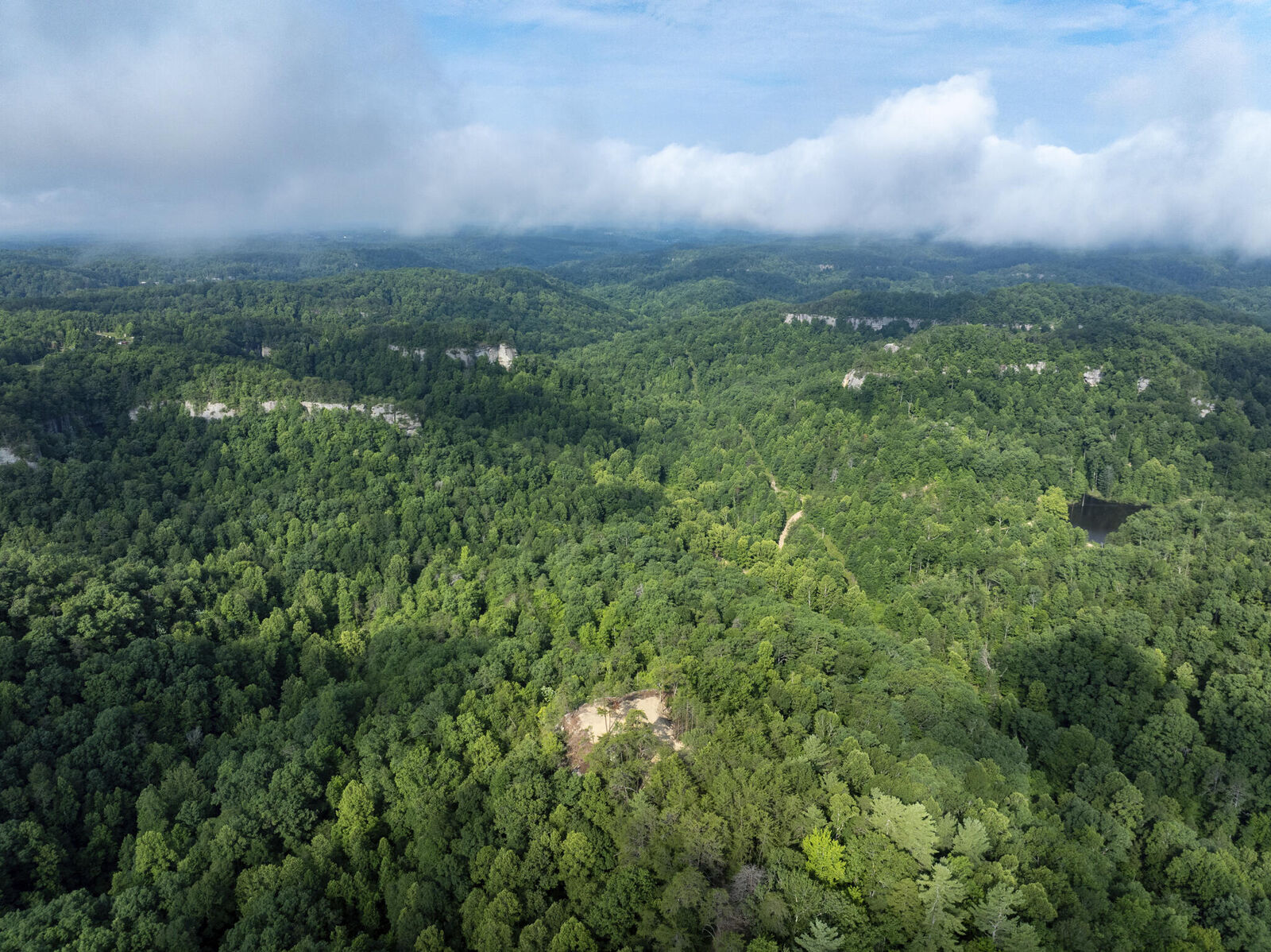 Property Photo: Lot 124-128 Highland Heights KY 41397