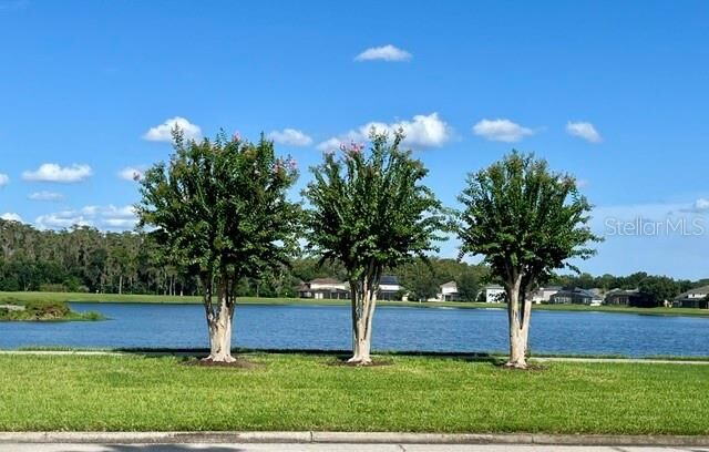 Property Photo:  7026 Vista Park Boulevard  FL 32829 