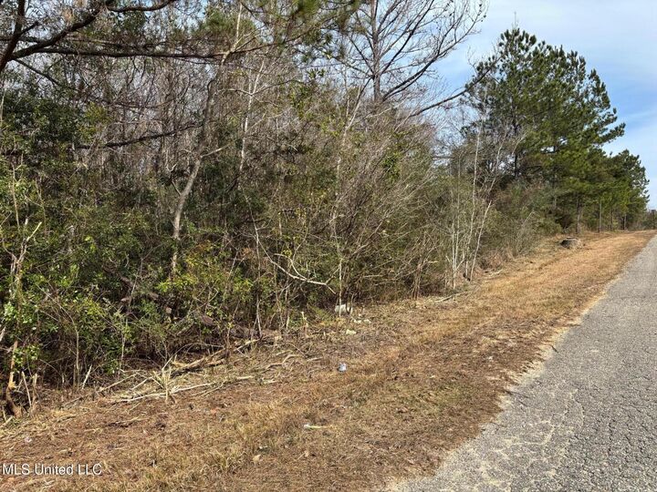 Property Photo:  00 Crestwick St. Street  MS 39574 