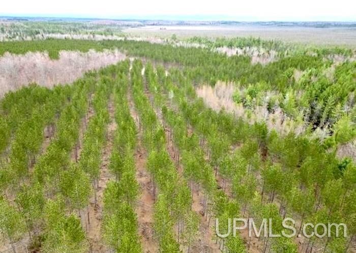 Property Photo: Tbd Co Rd 440 Road MI 49849