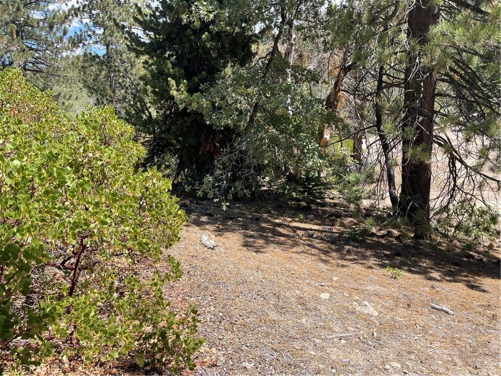 Property Photo:  0 Arrowbear  CA 92382 