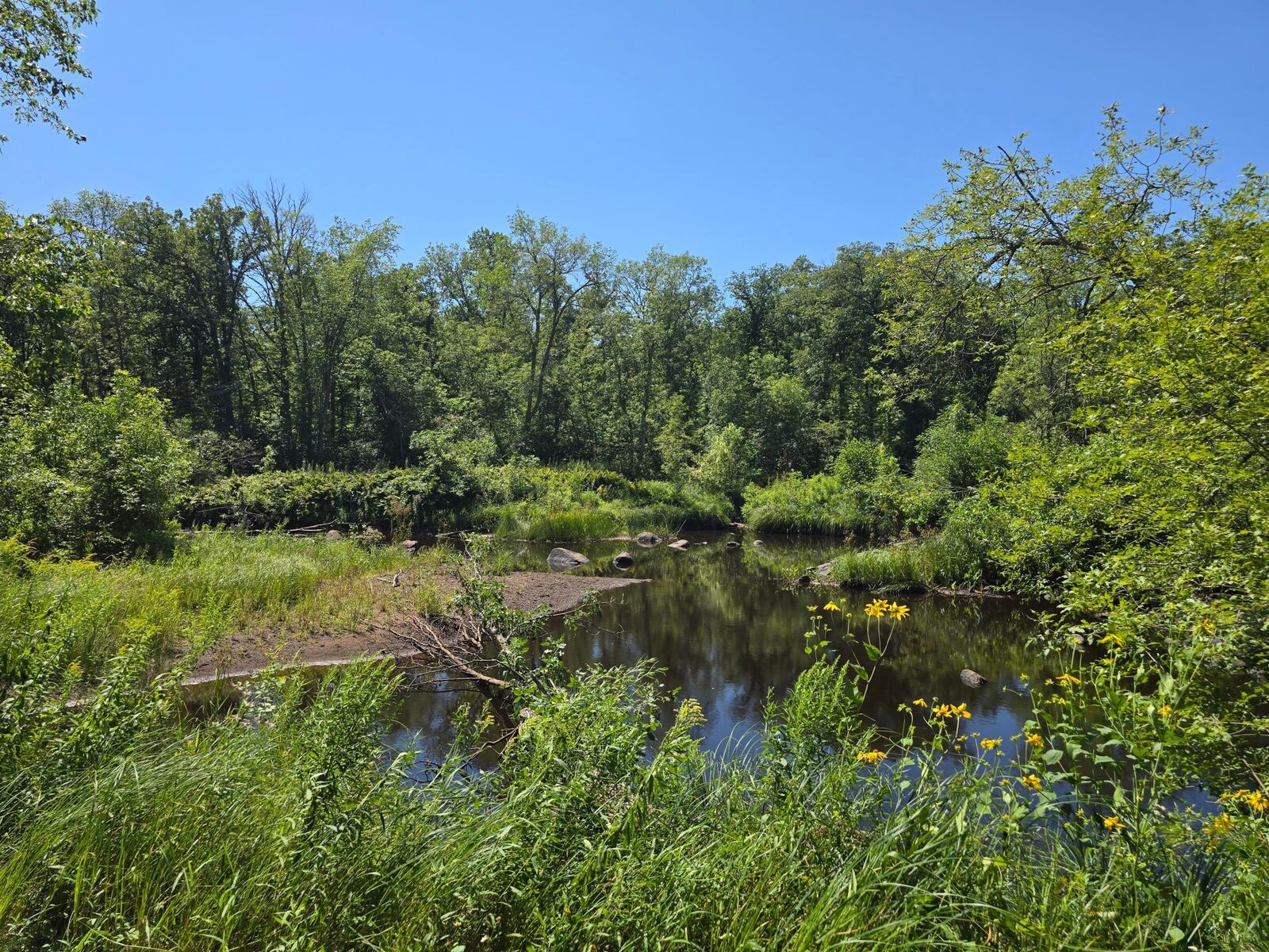 Property Photo:  Tbd 188th Place  MN 56350 