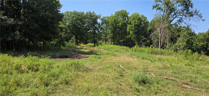 Property Photo: Hopewell AR 72601