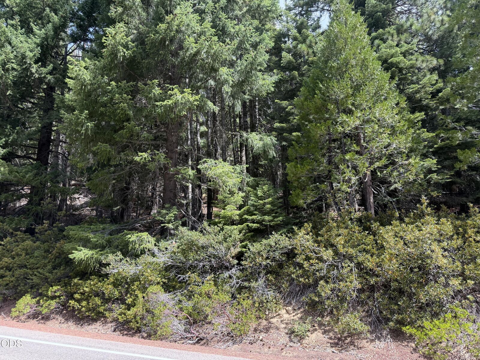 Property Photo:  Mt Ashland Ski Road  OR 97520 
