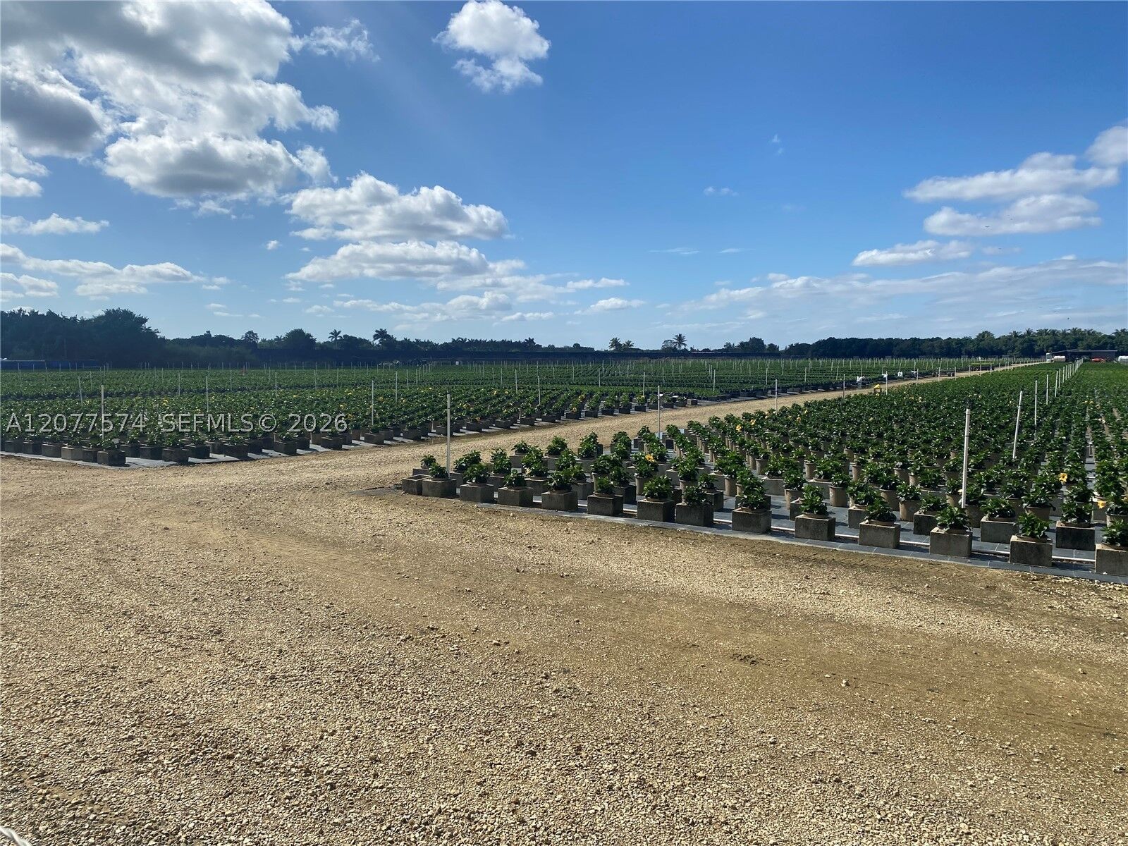 Property Photo:  Richard Road SW 197 Ave  FL 33031 