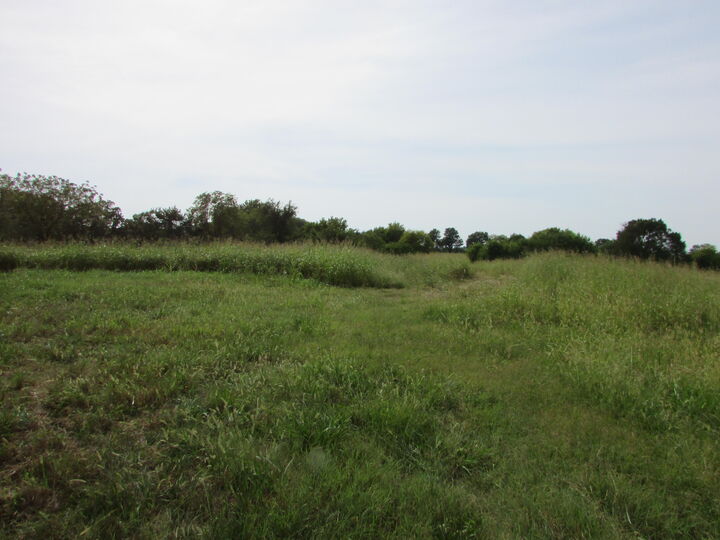 Property Photo:  000 S Farm Rd 67  MO 65738 