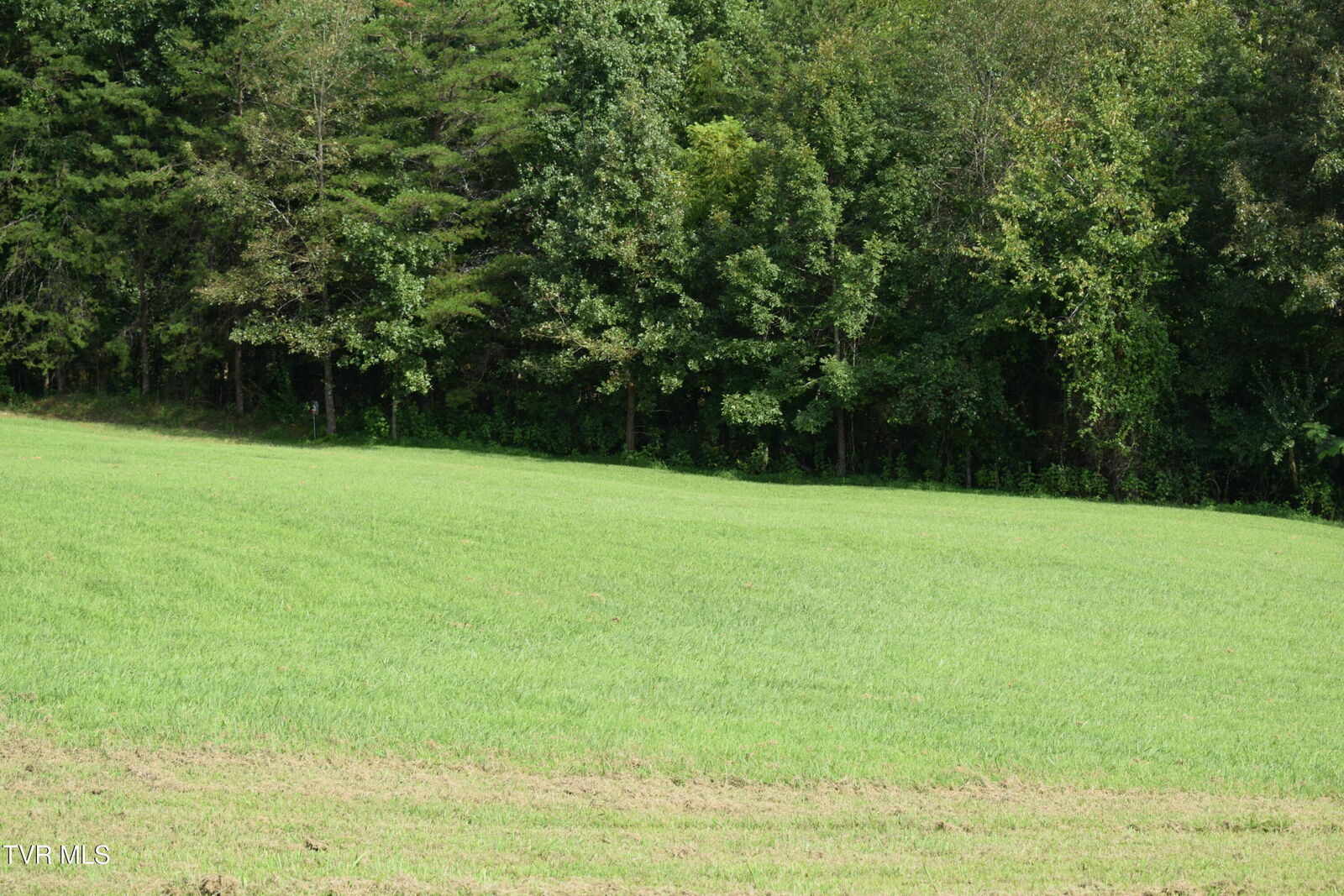 Property Photo:  613 Tomahawk Drive  TN 37664 