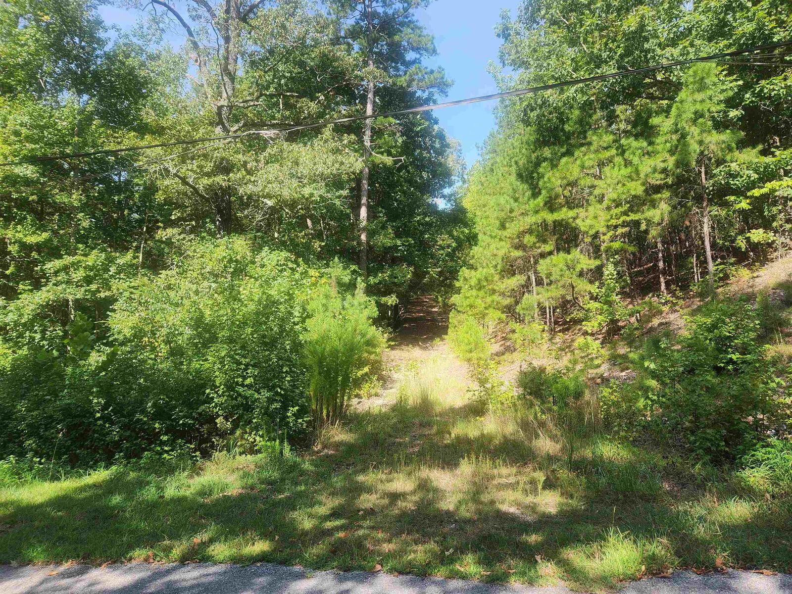 Property Photo: 4620 Flowerwood Lane AR 72210