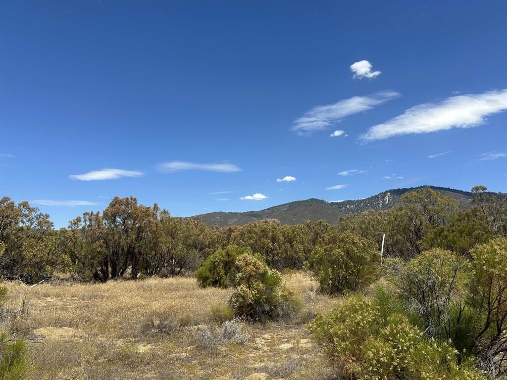 Property Photo: 54174 Mdw Vly Lane CA 92539