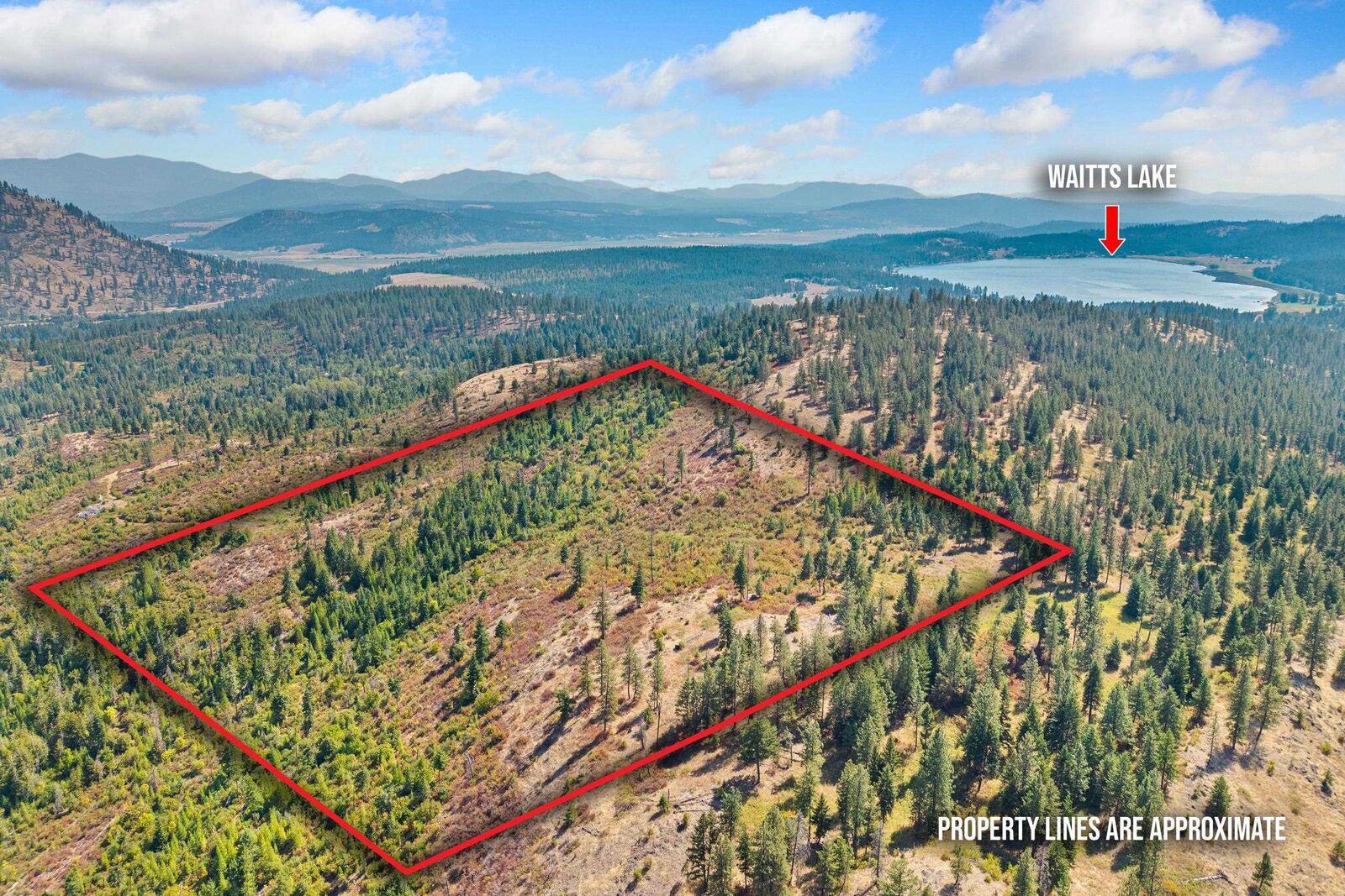 Property Photo:  Nka Hoag Rd  WA 99181 