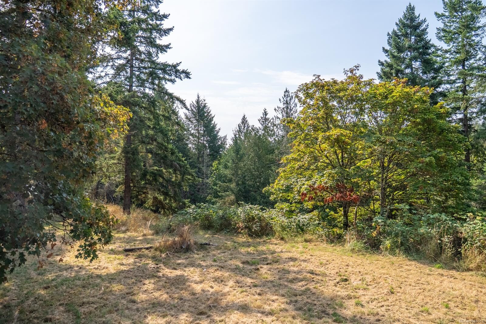 Property Photo:  4535 Bedwell Harbour Rd  BC V0N 2M1 