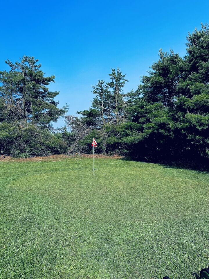Property Photo: 360 Estelle Road MI 49735