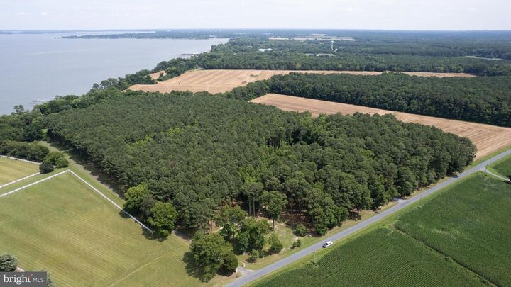 Property Photo: Horns Point Road MD 21613