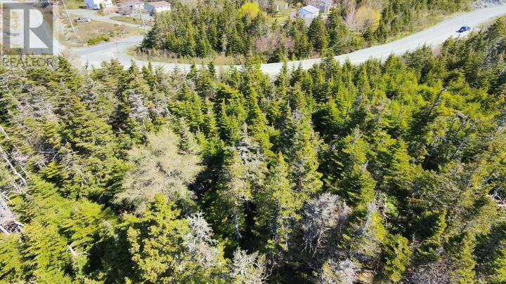 Property Photo:  25 Witch Hazel Drive  NL A1M 3R5 