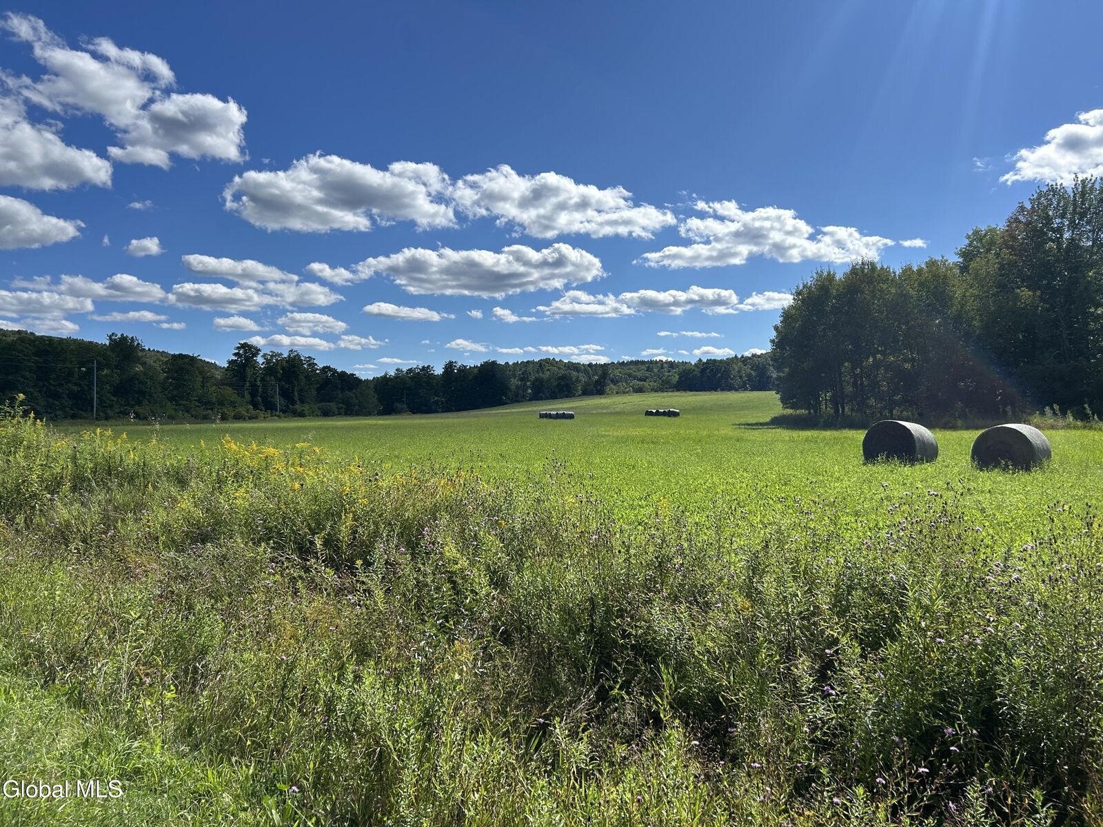 Property Photo:  711 Gifford Hollow Road  NY 12023 