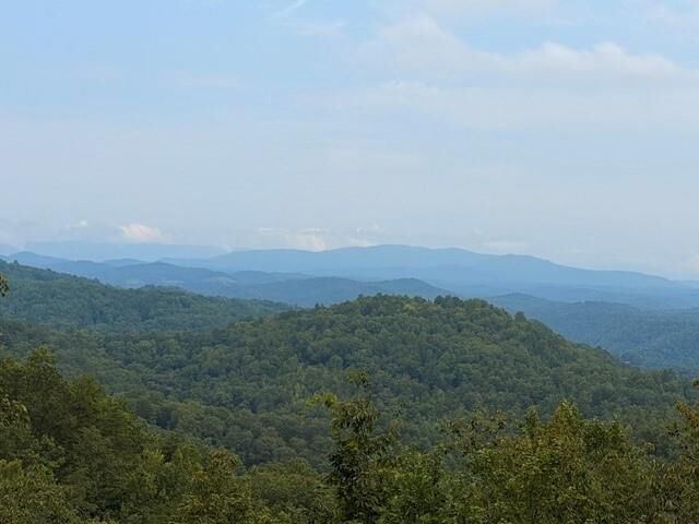 Property Photo: 982 Raccoon Ridge GA 30734