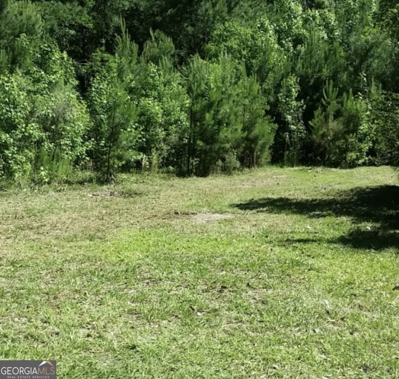 Property Photo: 221 Turtle Drive GA 31324
