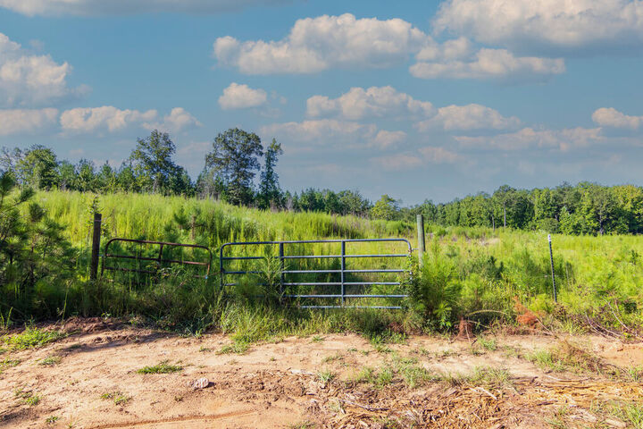 Property Photo:  Tract 8 Carlisle Gap Road  GA 31836 