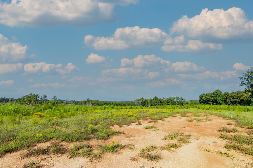 Property Photo:  Tract 5 Carlisle Gap Road  GA 31836 