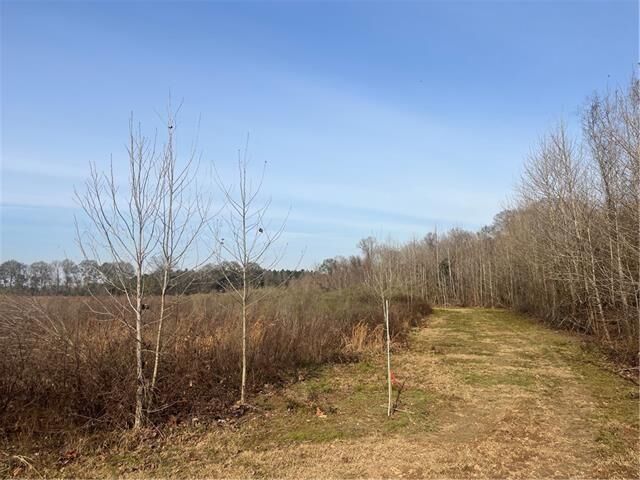 Property Photo: 123 Sewer Pond Road LA 71350