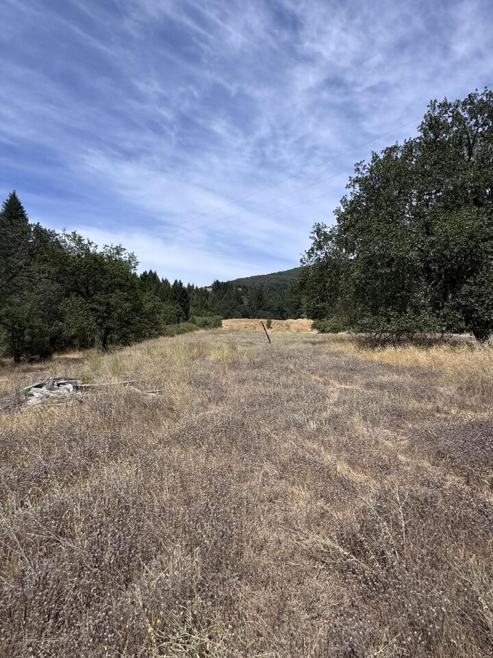 Property Photo:  331 Lamb Creek Road  CA 95552 