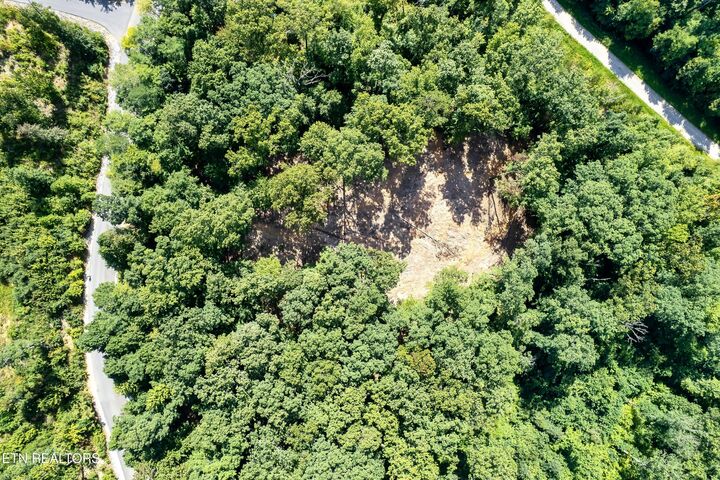 Property Photo:  Lot 150 Mountaineer Tr  TN 37862 