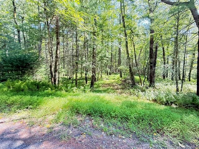 Property Photo:  Lot 3.18 Fish Cabin Road  NY 12737 