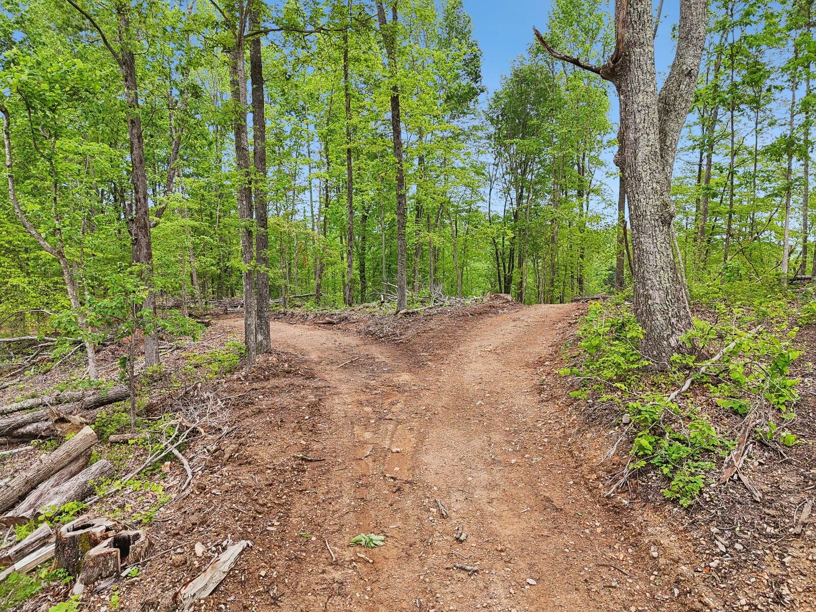 Property Photo: 0 Simmons TN 37015