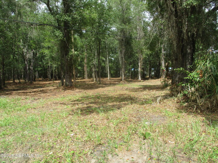 Property Photo: 0000 New Oak & 6th Street FL 32046