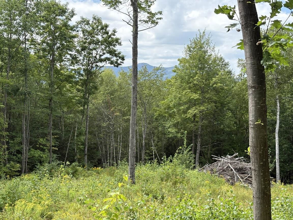 Property Photo:  Perkins Hill Road  NH 03222 