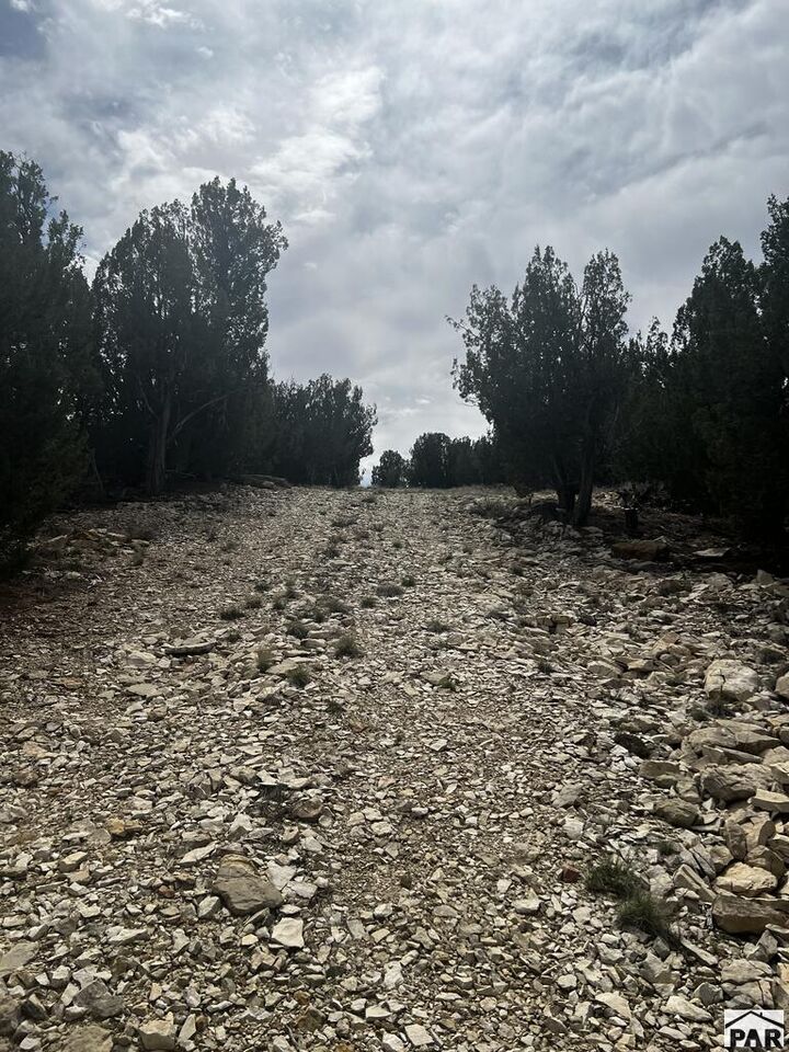 Property Photo:  6045 Reno Rd  CO 81004 