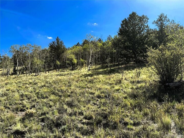 Property Photo: 8390 Chickasaw Road CO 80449
