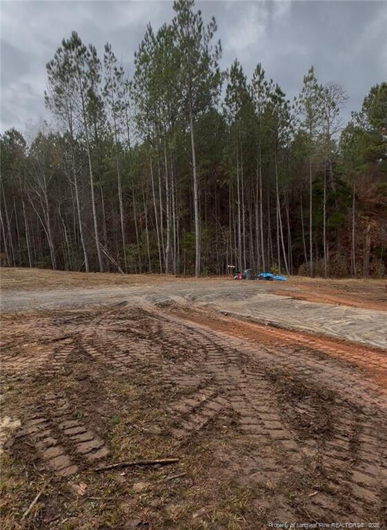 Property Photo:  183 Thistlecone Lane  NC 27330 