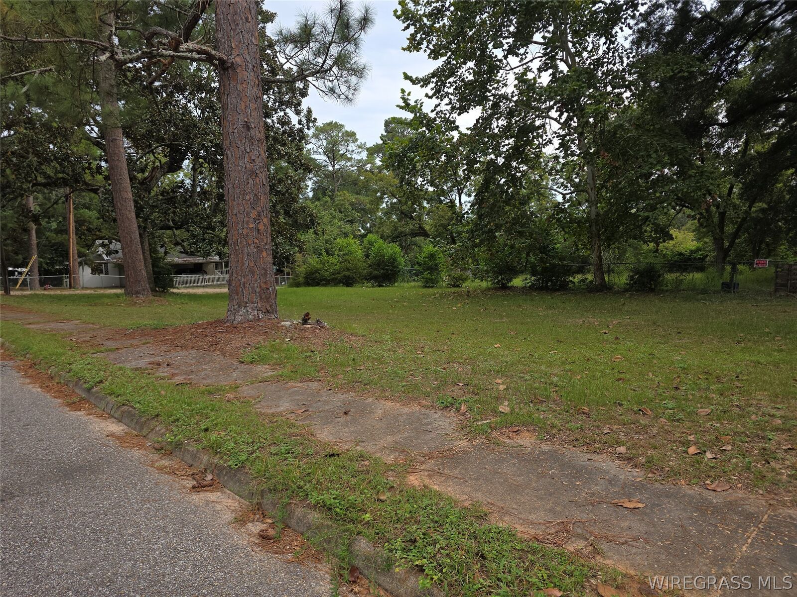 Property Photo: Tbd Newton Avenue AL 36360