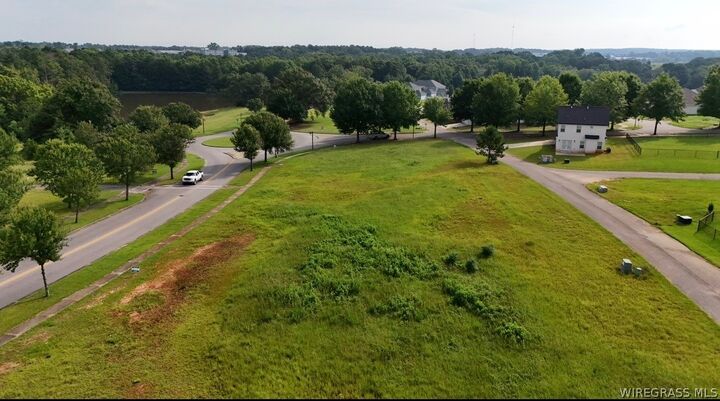 Property Photo:  0 (Lot 6 Block F) Oak Park Drive  AL 36079 