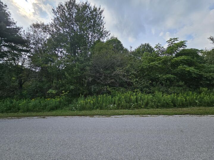 Property Photo:  San Spur And Kitchen Rd  PA 15801 