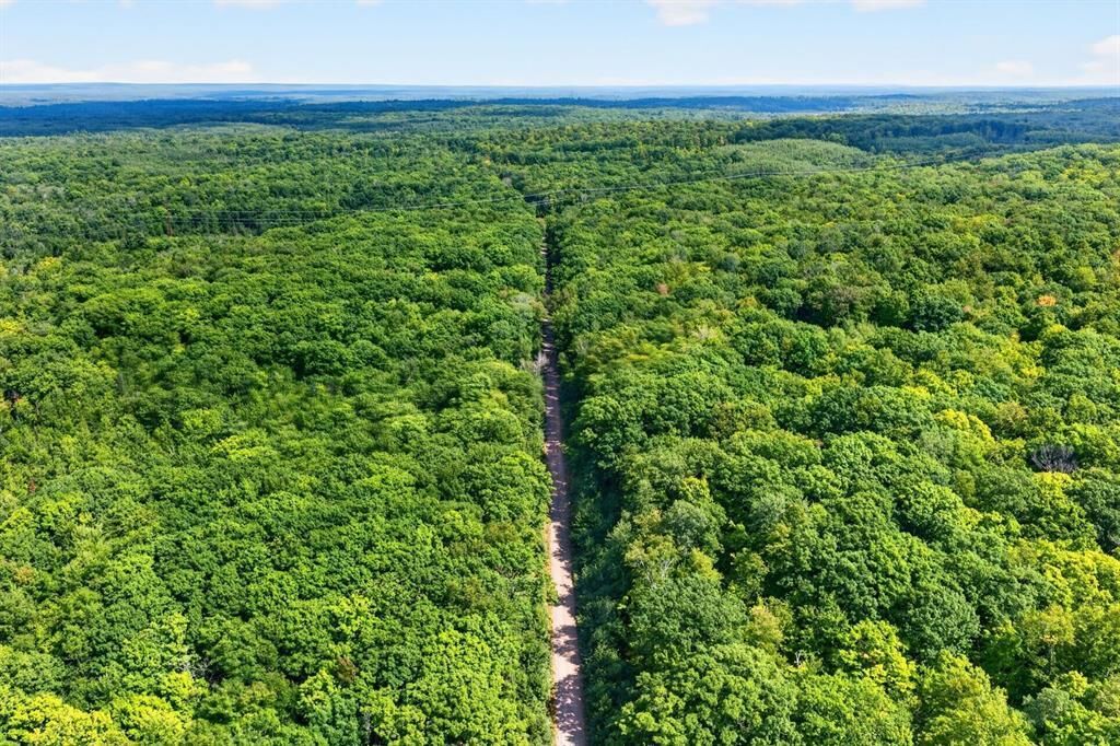 Property Photo:  Block 9 Comet Road  WI 54835 