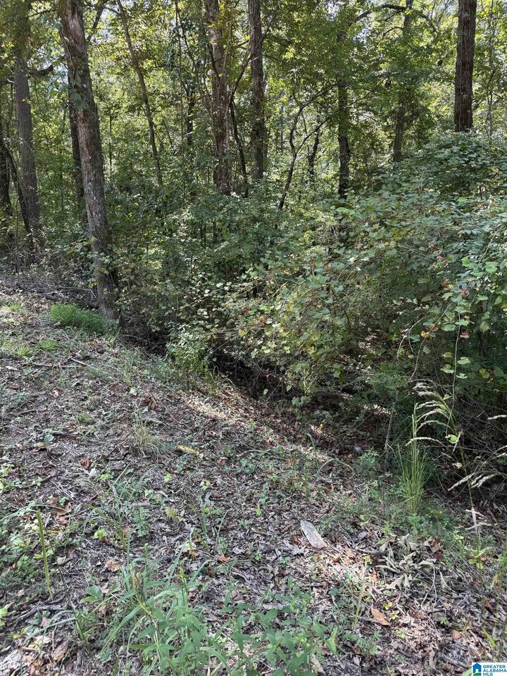 Property Photo: 0 Maplewood Drive 152 &Amp 153 AL 35160
